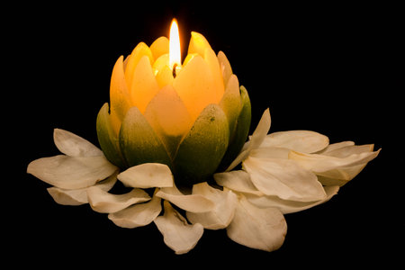 Candle in the shape of a Magnolia flower with petals around it.の写真素材