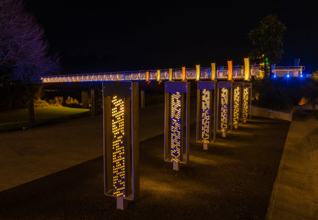 HE ARA KOTAHI walkway bridge with it great looking night lights.
