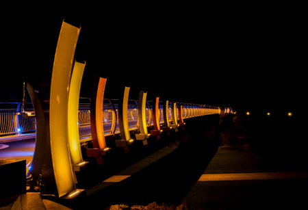 HE ARA KOTAHI walkway bridge with it great looking night lights.