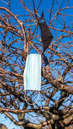 Winter tree buds gives us all hope that there is hope to get through this cold season of Covert-19の写真素材