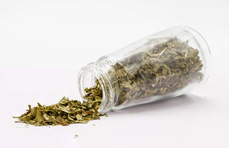 Coriander is a culinary herb in dry product form.の写真素材