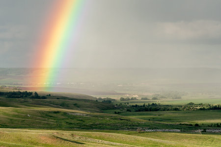 nature landscape