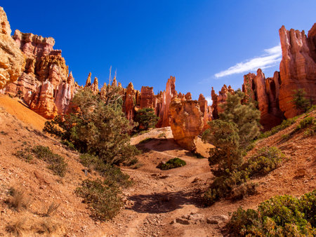 Sand and Stone Formations with Blue Sky and Green Trees in Bryce Canyon National Park, Utah, USAの写真素材