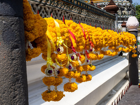 Escape to the vibrant and mystical world of Bangkok's Wat Arun Temple. The majestic architecture of the temple is perfectly complemented by the delicate yellow flowers (Phuang Malai), creating a serene and captivating atmosphere. This image captures the beauty and serenity of Thailand's rich cultural heritage.の写真素材