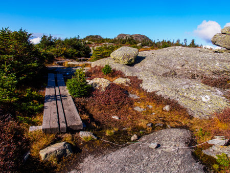 A blue sky shines over a wooden walkboard that crosses the withered vegetation and rocky edges on Mount Mansfield, Vermont, USA, on a bright autumn day.の写真素材