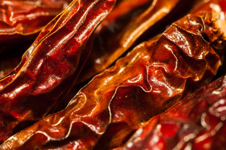 A close-up shot capturing the fiery, dried red chili (pepper) fruit.の写真素材