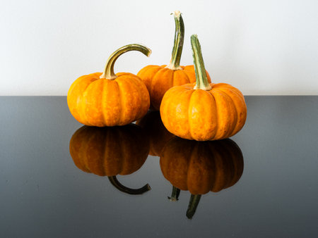 From a side view, three pumpkins with substantial stems grace a glossy black surface, mirroring their presence, against a white background wall.の写真素材