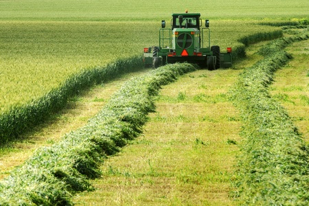 Harvester on rural field with wheat during harvesting.の写真素材