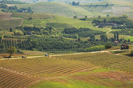 View on road running through hills and vineyards of Piedmont, Northern Italy.の写真素材