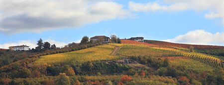 Panoramic view on hill and vineyards at fall in Piedmont, Northern Italy.の写真素材