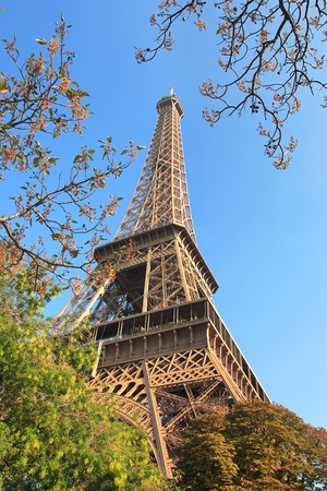 Vertical oriented image of famous Eiffel Tower in Paris, France.の写真素材
