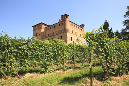 Old castle of Grinzane Cavour as seen through vineyards in Piedmont, northern Italy のeditorial素材