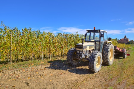 Farm tractor on the ground among growing vineyards under clear blue sky in Piedmont, Northern Italy の写真素材