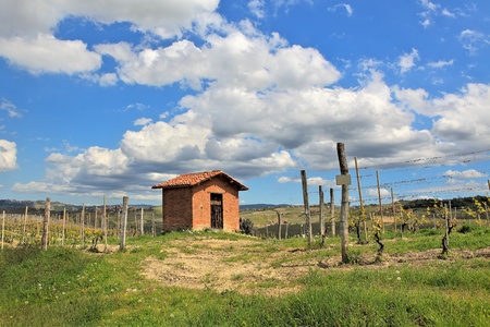 Small rural brick farmhouse among green vineyards under beautiful blue sky with white clouds in spring in Piedmont, Northern Italy の写真素材