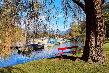 Red bench under the tree on the bank of Lake Maggiore in Switzerland の写真素材