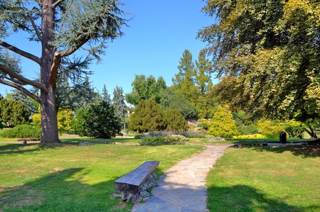 Wooden bench on narrow walkway among green lawns and trees at botanical part of famous Valentino park in Turin, Italy の写真素材
