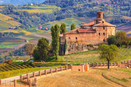 View of abandoned castle and autumnal vineyards of Langhe in Piedmont, Northern Italy のeditorial素材