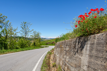 Asphalt road among green hills and red poppies under blue sky in Piedmont, Northern Italy の写真素材