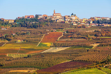 Autumnal vineyards on the hills and small town on background in Piedmont, Northern Italy.の写真素材