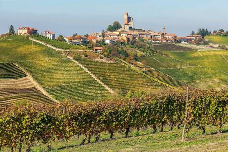 Autumnal vineyards on the hills of Langhe and small town on background in Piedmont, Northern Italy.の素材