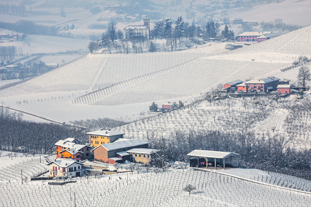 Hills and vineyards of Langhe covered with snow in Piedmont, Northern Italy.の写真素材