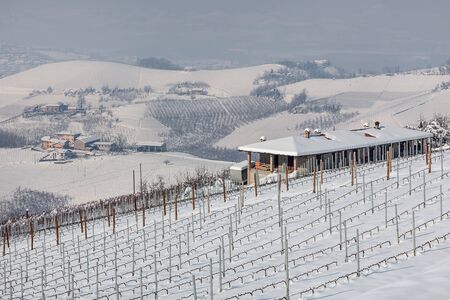 Rural house and vineyards on the hills covered with white snow in Piedmont, Northern Italy.の写真素材