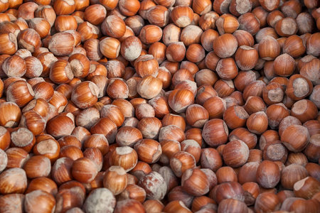 Heap of fresh raw huzelnuts.