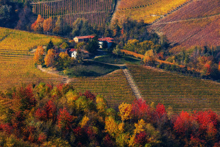 View from above on rural houses on the hill among colorful autumnal vineyards and trees in Piedmont,...