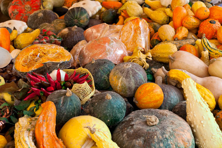 Different types of green, yellow and orange pumpkins on the stall.