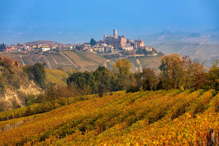 View of beautiful autumnal vineyards and small medieval town on the hill on background in Piedmont, Northern Italy.の写真素材