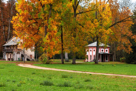 Narrow rural road, green grass and trees with colorful autumnal leaves in park of Racconigi in...