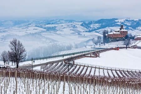 View of vineyards and hills of Langhe covered in snow near Barolo in Piedmont, Northern Italy.の写真素材