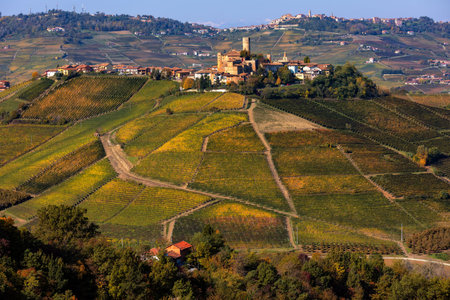 View of small medieval town on the hill with colorful autumnal vineyards in Piedmont, Northern...