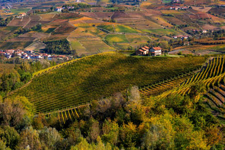 View from above on rural houses on the hills and colorful autumnal vineyards in Piedmont, Northern Italy.の写真素材