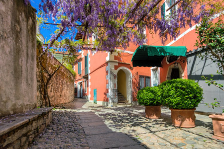 Narrow street among colorful houses under hanging flowers on the Isola dei Pescatori on Lake Maggiore, Italy.の写真素材