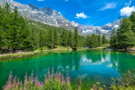 View of the small alpine Lake Blu among green trees as mountain ridge under blue sky on background in Aosta Valley, Italy.の写真素材