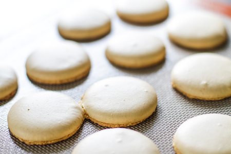 Freshly baked yellow macarons on the baking trayの写真素材