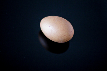 Brown egg on the black reflective surfaceの写真素材