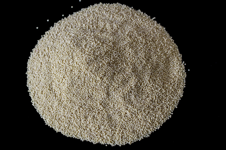 Millets are a group of highly variable small-seeded grasses, widely grown around the world as cereal crops or grains for fodder and human food.の写真素材
