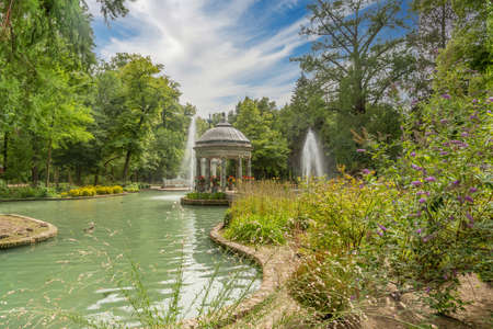 beautiful forest in the park of aranjuez, relax conceptの写真素材