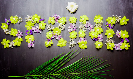 Spring Written With Yellow, Purple, Pink and White Flowers on a Black Painted Background
