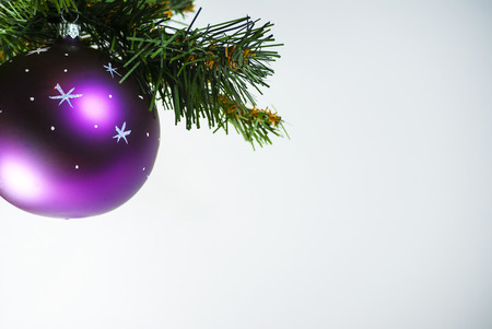 Christmas decorations violet glass ball on Christmas tree backgroundの写真素材