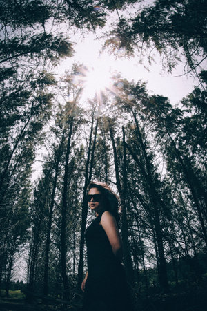 Deep Forestの素材