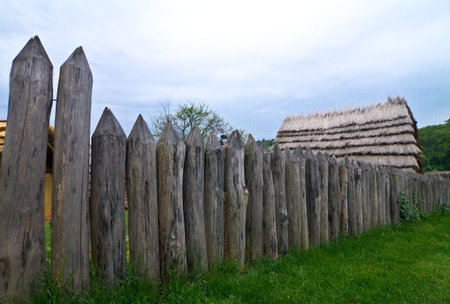 Wooden palisadesの写真素材