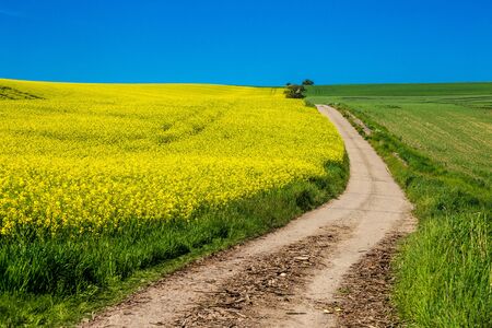 Dirt roadの写真素材