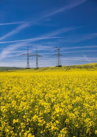 High-voltage power transmission towers over green fieldsの写真素材