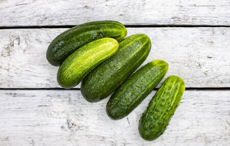 Fresh cucumbers on a white boardの写真素材