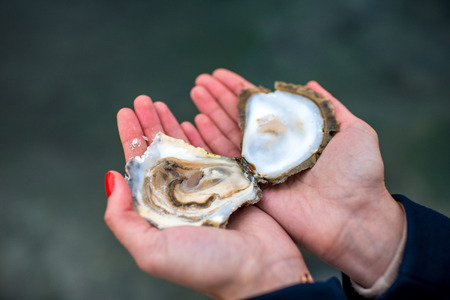 Holding fresh opened oyster in hands on water backgroundの写真素材
