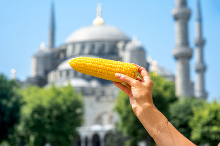 Holding turkish boiled corn with Blue Mosque on background. Traditional turkish street food.の写真素材