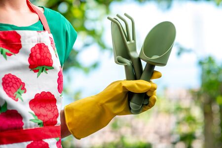 Holding gardening tolls with hand in yellow glove on the garden backgroundの写真素材